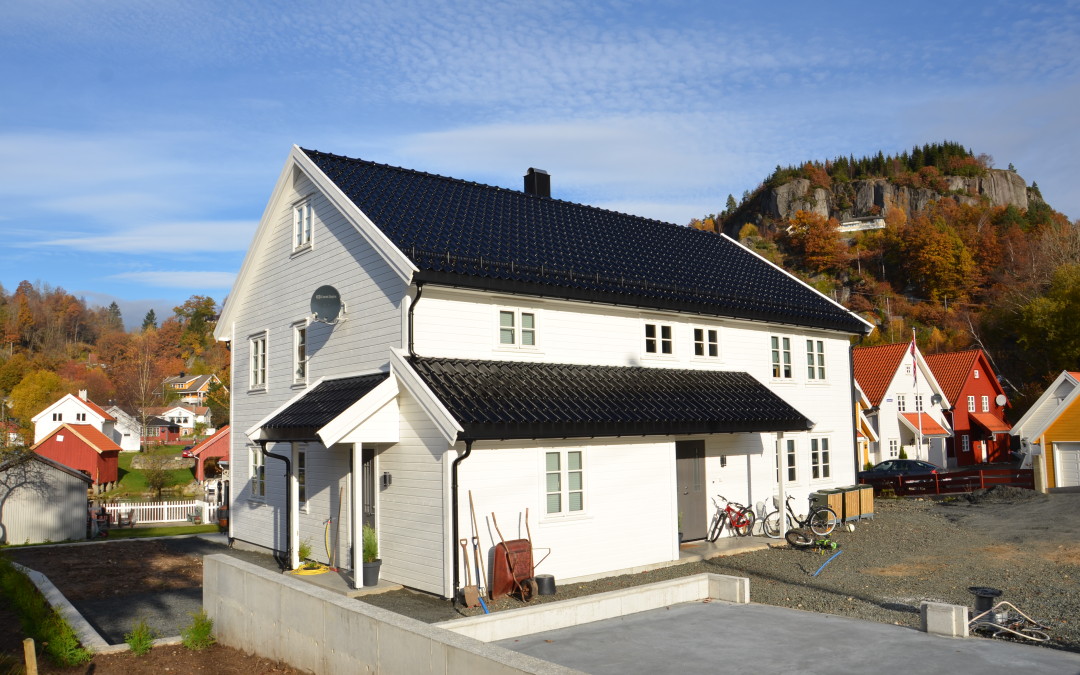 Husprosjekt 01011